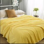 Plain Fleece Warm Blanket